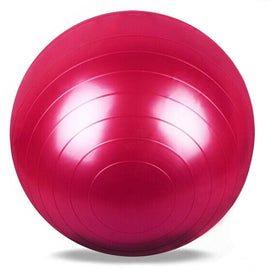 65cm Yoga Balls Pilates